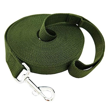 TAIDA 20ft 30ft 40ft 50ft Nylon Long Training Dog Leash for Small Medium Large Dogs Long leashes DogPuppy Lead for Obedience Recall Training Camping or Backyard 1 inch Wide 30 Foot Green