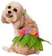 Rubies Hula Girl Pet Costume Medium
