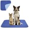 Beck's Classic Becks USA Made Reusable Pet Pee Pads for Dog Cat Pee Problems Advanced Leak Free Design Color Change Wetness Indicator 1 Pad 500 Disposable 35X712 Pack