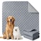 Eterish Reusable Washable Pee Pads for Dogs LargeExtra Large 36 x 41 2 Pack Absorbent Pet Puppy Dog Training Pads NonSlip Waterproof Whelping Potty Pads for Dogs LeakProof