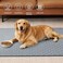 Eterish Reusable Washable Pee Pads for Dogs LargeExtra Large 36 x 41 2 Pack Absorbent Pet Puppy Dog Training Pads NonSlip Waterproof Whelping Potty Pads for Dogs LeakProof