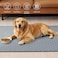 Eterish Reusable Washable Pee Pads for Dogs LargeExtra Large 36 x 41 2 Pack Absorbent Pet Puppy Dog Training Pads NonSlip Waterproof Whelping Potty Pads for Dogs LeakProof