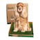 Fresh Patch Real Grass Patch for Dogs Cats and Large Pets 1530 Pounds Disposable Pet Grass Pee Pads Indoor and Outdoor Potty Training Mat 24 Inches x 24 Inches