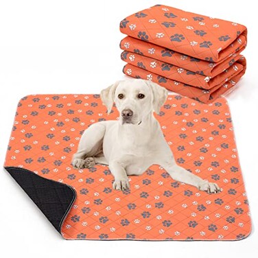Lepark Washable Pee Pad for Dogs of 2Pack Reusable Puppy NonSlip Pet Training PadsOrange3648