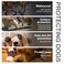 caichuxiye Disposable Dog ShoesOutdoor Dog Rain BootsPaw ProtectionWaterproof DirtProofwith Adjustable Strapsfor Small to Medium Large Dogs20Pcs Medium to Large Size