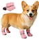BECHANMIG Dog Shoes Breathable Mesh BootsSummer Breathable Dog Boots Nonslip Sole Paw Protector for Small Medium DogsMPink