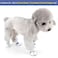Zunea ZUNEA Small Dog Shoes for Hot Pavement Summer Breathable Mesh Boots Adjustable Non Slip Zipper Pet Dogs Booties White PU Paw Protector Blue 5