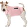 American Kennel Club Anti Anxiety and Stress Relief Calming Coat for Dogs Extra Large Pink