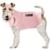 American Kennel Club Anti Anxiety and Stress Relief Calming Coat for Dogs Extra Large Pink