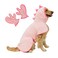 Pawyee Super Soft FastDrying Dog Towel Set for Cold Weather Beach Pool Adjustable Microfiber Bath Robe with Drying Gloves for Cats and Dogs XLarge Pink Dino