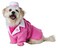 California Costumes Barbie Day to Night Dog Costume Small Pink