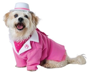 California Costumes Barbie Day to Night Dog Costume Small Pink