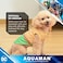 DC Comics Superhero Aquaman Halloween Dog Costume Officially Licensed Halloween Pet Costumes for Dogs Size Medium