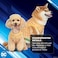 DC Comics Superhero Aquaman Halloween Dog Costume Officially Licensed Halloween Pet Costumes for Dogs Size Medium