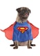 Rubies DC Comics Superheroes Superman Pet Costume for For Dogs or Cats by Small