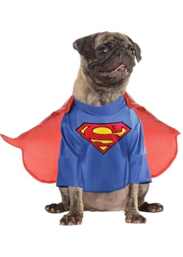 Rubies DC Comics Superheroes Superman Pet Costume for For Dogs or Cats by Small