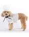Seasons Dog Cook Costume PS20050 L126 Neck Girth181 Chest