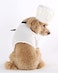 Seasons Dog Cook Costume PS20050 L126 Neck Girth181 Chest