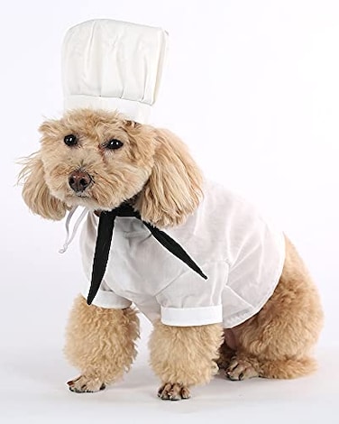 Seasons Dog Cook Costume PS20050 L126 Neck Girth181 Chest