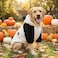 FLAdorepet Halloween Large Dog Panda Costume Outfits Winter Warm Pet Jacket Coat Funny Clothes for Medium Large Dog Labrador Husky Beagle 20 Panda