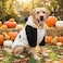 FLAdorepet Halloween Large Dog Panda Costume Outfits Winter Warm Pet Jacket Coat Funny Clothes for Medium Large Dog Labrador Husky Beagle 20 Panda