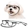 Style Vault G015 Dog Small Breed up to 15lbs Pet Cat Costume Clear Lens Tiny 80s Retro Glasses BlackClear Lens