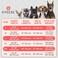 KYEESE 2Pack Dog Sweater Soft Puppy Sweatshirt Stretchy Pullover Dog Sweater for Small Dogs Boy Lightweight Fleece Cat Shirt Pet Clothes with Sleeves M
