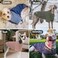 KYEESE 2Pack Dog Sweater Soft Puppy Sweatshirt Stretchy Pullover Dog Sweater for Small Dogs Boy Lightweight Fleece Cat Shirt Pet Clothes with Sleeves M