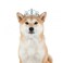 Lovelyshop Pet Series Blue Gem Rhinestone DogCat Tiara Crown for Costume Hair Accessories Medium Size