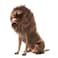 Onmygogo Lion Mane Wig for Dogs with Ears Funny Pet Costumes for Halloween Christmas Size M Coffee