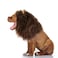 Onmygogo Lion Mane Wig for Dogs with Ears Funny Pet Costumes for Halloween Christmas Size M Coffee