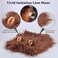 Onmygogo Lion Mane Wig for Dogs with Ears Funny Pet Costumes for Halloween Christmas Size M Coffee