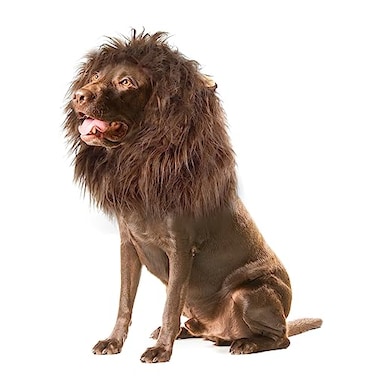Onmygogo Lion Mane Wig for Dogs with Ears Funny Pet Costumes for Halloween Christmas Size M Coffee