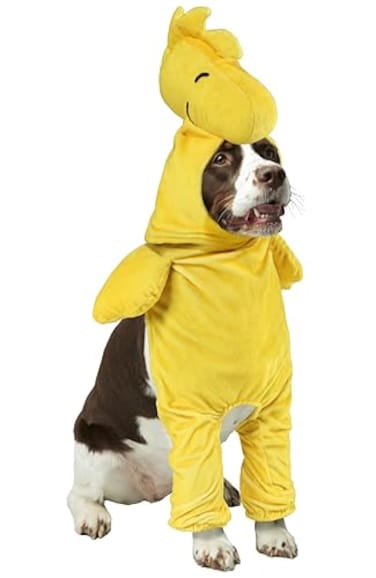 Rubies Peanuts Woodstock Pet Costume for For Dogs or Cats by Medium