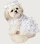 Rubies Bride Pet Costume for Dogs or Cats Medium