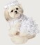 Rubies Bride Pet Costume for Dogs or Cats Medium