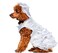Rubies Bride Pet Costume for Dogs or Cats Medium