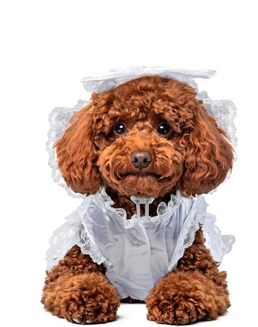 Rubies Bride Pet Costume for Dogs or Cats Medium