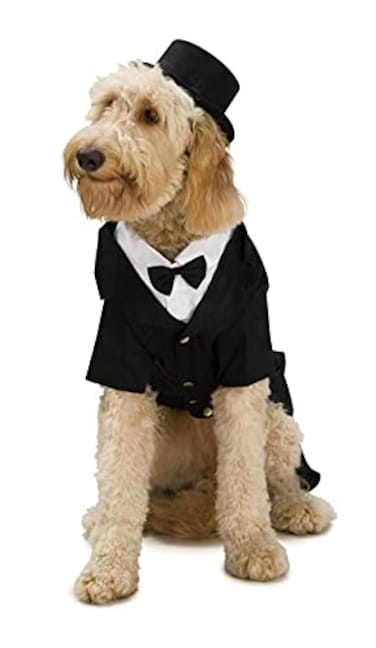 Rubies Dapper Dog Tuxedo Pet Costume Medium