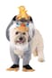 Rubies Disney Lion King Rafiki Pet Costume for For Dogs or Cats Large
