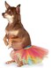 Rubies Pet Costume Tutu Rainbow MediumLarge