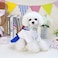 Tangpan BowKnot Student Cosplay Pet Costume Dog Skirt Camp DressBlueXL