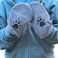 Penny & Penny Niko Microfiber Pet Towel Mitts Paw Cleaning and Drying MittsGloves for Dogs and Cats Gray Standard 4 Pack