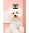 AAAMN Dog 1st Birthday Accessories Gold Crown Hat Cat Dog Birthday Party Headband Hats with Charms