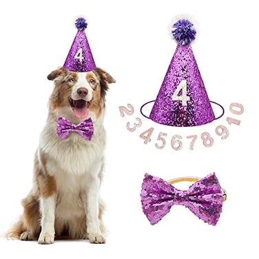 IDOLPET Dog Birthday Party Hat with Bow Tie Wedding Collar Outfit for Medium and Large Dogs Purple