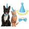 IDOLPET Dog Cat Birthday Party Hat with Cute Bow Tie for Small Medium Puppies Dogs Cats Dog Wedding Collar Outfit Blue