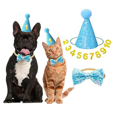 IDOLPET Dog Cat Birthday Party Hat with Cute Bow Tie for Small Medium Puppies Dogs Cats Dog Wedding Collar Outfit Blue