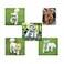 leconpet Leconpet Baseball Caps Hats with Neck Strap Adjustable Comfortable Ear Holes for Small Medium and Large Dogs in Outdoor Sun Protection L Black