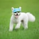 leconpet Leconpet Baseball Caps Hats with Neck Strap Adjustable Comfortable Ear Holes for Small Medium and Large Dogs in Outdoor Sun Protection M Blue