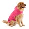 Bone Dry Pet Robe Collection Embroidered Absorbent Microfiber Bath Robe with Adjustable Closure for Dogs Cats Large Raspberry Sorbet